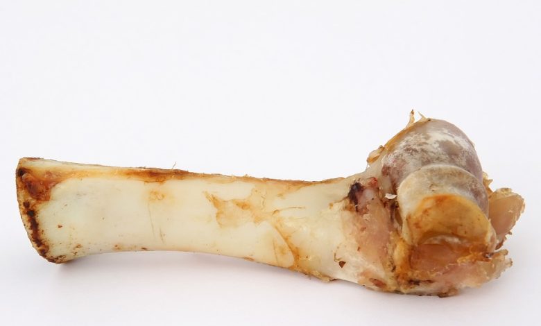 Canine health
