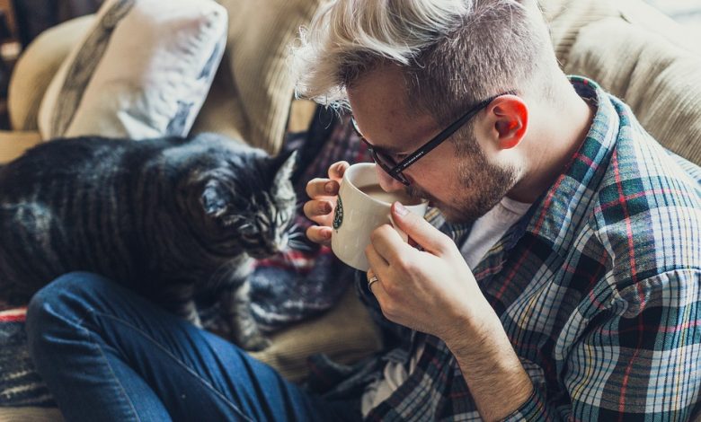 Indoor cats