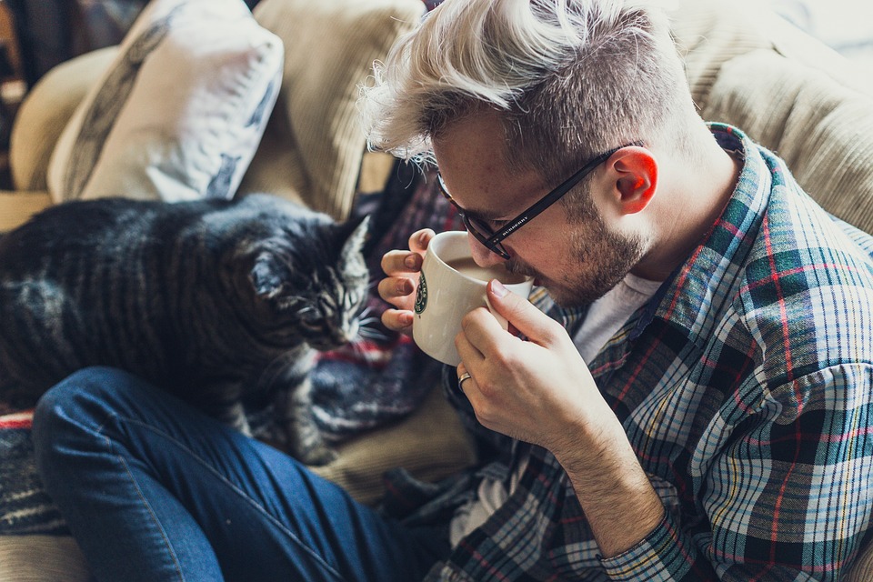 Indoor cats