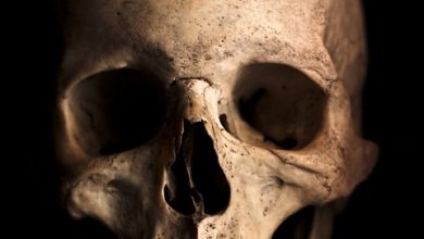 Bone health