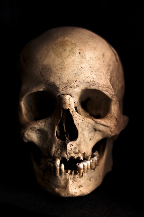 Bone health
