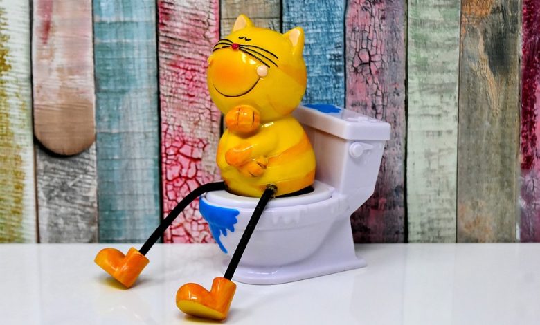 Cat litter